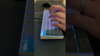 Stock Akko Cream Blue Pro | Budget Keyboard | Typing Test