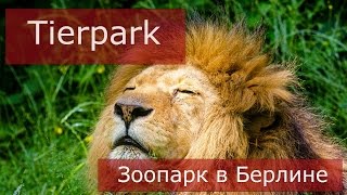 Зоопарк в восточном Берлине, Zoo in Ost-Berlin - Tierpark