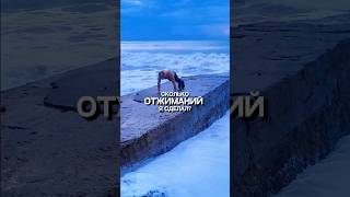 Сколько Отжиманий Я Сделал!? #отжимания #шортс #vkachka