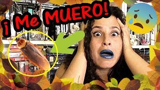 😲💀Las CUCARACHAS INVADIERON mi CASA😌 Storytime ¡Me muero! ¡AYUDA! HELP!