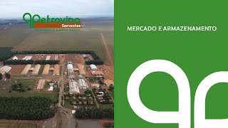 Petrovina Sementes na mídia – Mercado e armazenamento