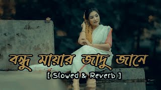 বন্ধু মায়ার জাদু জান🥰🥀[ Slowed+Reverb ] Salma Akter & Shahin Rana🔥( Remix song ) Bangla Lofi music.