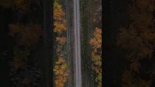 Top-down road  #explorealberta #travelalberta #gradient_imaging