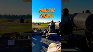 Have you ever shot a pumpkin out of a cannon? #shorts #halloween #pumpkincannon #fallfestival #rving