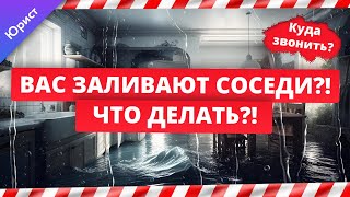 Вас заливают соседи?! Что делать?! Инструкция от юриста что делать, если квартиру затопили соседи