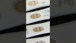 Pregnancy test line progression 9-16dpo