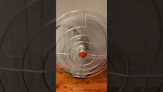 1950s General Electric Table Fan