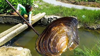 I don't know where I rushed down a river clam from, but when I caught it ashore, I found···