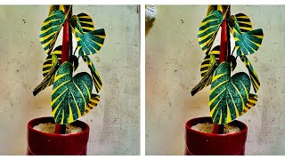 How to make indoor plants from pladtic bag/please subscribe to my you tube channel