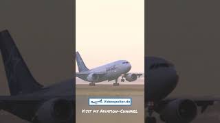 Air Transat Airbus A310 | BEAUTIFUL SUNRISE LANDING @ Amsterdam ✈ #shorts