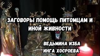 ЗАГОВОРЫ ПОМОЩЬ ПИТОМЦАМ И ИНОЙ ЖИВНОСТИ...  ДЛЯ ВСЕХ... ВЕДЬМИНА ИЗБА ИНГА ХОСРОЕВА