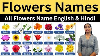 Phoolon Ke Naam Hindi Aur English| Flowers Name Hindi & English | फूलों के नाम हिंदी और अंग्रेजी