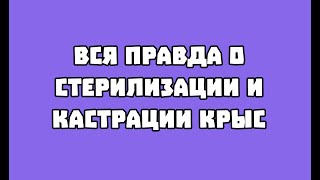 ВСЯ ПРАВДА О СТЕРИЛИЗАЦИИ И КАСТРАЦИИ КРЫС! (и не только)