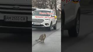 Ремонтируем дороги))))