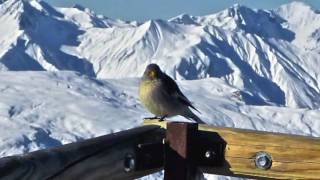 Val Thorens 2010