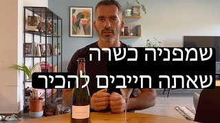 טעימת שמפניה כשרה שאתם חייבים להכיר