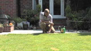 Using Weed Killer on Patios and Around Drains