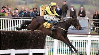 Who won Cheltenham Gold Cup 2019? 1-2-3 RESULT as 12/1 outsider Al Boum Photo celebrates