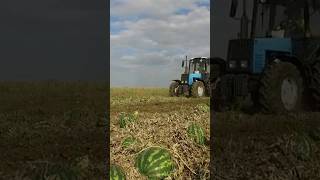 Мульчер 🚜🍉