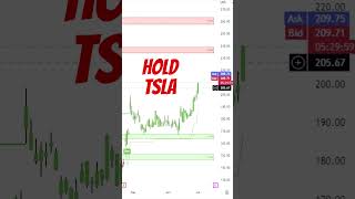 Hold TSLA | Tesla Stock Analysis | Support and Resistance #trading #investing #stockmarket