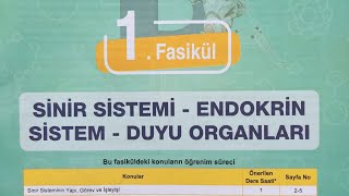 Testokulu AYT Biyoloji konu anlatım föyü-Görevine göre nöronlar