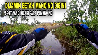 Ganti Umpan ini Disambar ikan Besar !! CASTING GABUS DI PARIT PINGGIR JALAN II ULTRALIGHT CASTING