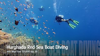 [4K] Egypt Hurghada Red Sea Boat Diving (with Muji Tour) 이집트 후루가다(홍해) 보트 펀 다이빙 with 무지투어 day_05