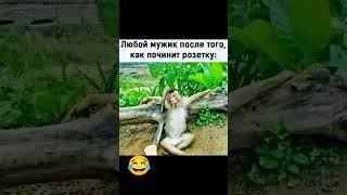 #прикольноевидео #60#5 #жиза