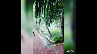 barish 🌧 whatsapp status || SubhanAllah tasbih #shorts