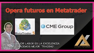 Opera Futuros en Metatrader, La Plataforma de Forex