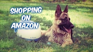 iFetch Interactive Ball Thrower for Dogs || Shopping on amazon