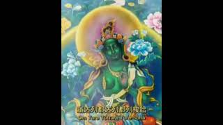 green tara whatsapp status