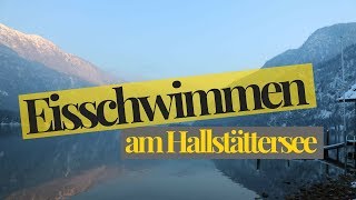 Training | Hallstättersee Ice Swimming 2018