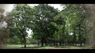 तेक्किनकाड मैदान | Thekkinkadu Maidanam Teak forest grounds