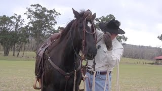 Learn To Ride Horses with Horseman Lester Buckley, Bridling