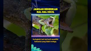 jangan remehkan hal kecil #nasihatbaik #trending #foryoupage #meindhardothmanaizat