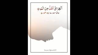 Moot Se Zada #quotes #shorts #islamicquotes #motivationalvideo #youtubeshorts