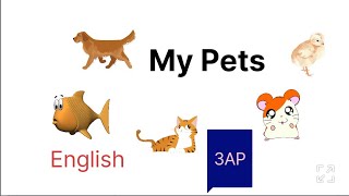 أهم درس في الفصل الثالث اللغة الأنجليزية My Pets In English 3AP Third Term