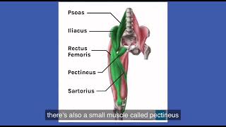 Hip flexor strain and physiotherapy