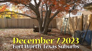 ASMR Fall Leaves: Fort Worth, Texas Suburban Backyard (2 Hours) #ASMR #Fall #TexasLeaves #Suburbia