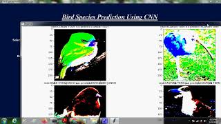 Bird Species Detection using Deep Learning - VGG16 model