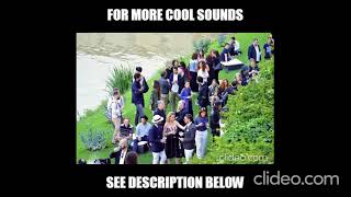 [Outdoor Gathering] Ambient Sound Effect