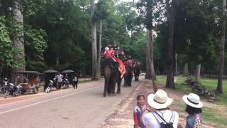 Siem Reap, Cambodia, Angkor Thom Temple Elephant Rides