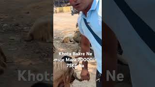 Deonar Bakra Mandi 2024 || Sunday update #bts #goat #deonarbakra #deonar