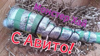 ☆Куклы Монстер хай с Авито и из Вконтакте!☆