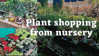 Plant shopping from nursery | Home Garden | Lunch at favourite Place | Richa Patil