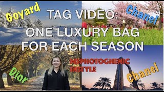 ONE LUXURY BAG FOR EACH SEASON TAG! (CREATED BY LIZ HERRLING)  |MsPhotoghenic InStyle By Gen