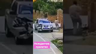 счастье прилетело #shorts #video