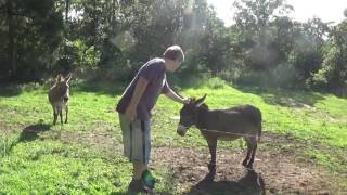 Amy Homestead visit Aug 2016