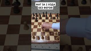 Это самый наглый МАТ в начале партии! ЛОВУШКА просто бомба. #chess #шахматы #шахматыдляначинающих